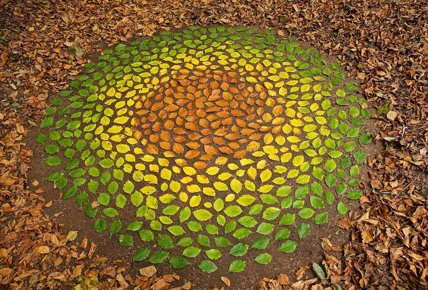 Andy Goldsworthy – Green Leaves