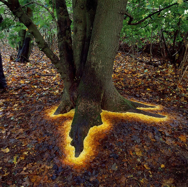 Land Art