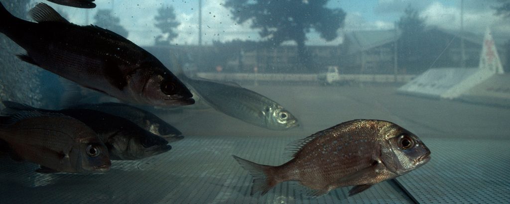 Theadventurehandbook.com