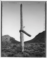 Artnet.comartistsmark